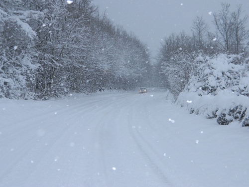 Immagine con neve, alberi, inverno, strada, auto, bianco, fiocchi, freddo, macchina