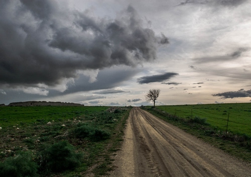 Immagine con nuvole, strada, albero, campi, cielo, verde, maltempo, prati, erba