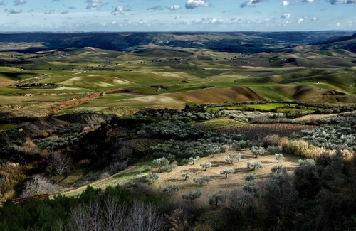 Immagine con nuvole, panorama, alberi, colline, paesaggio, cielo, ulivi, orizzonte, campagna, verde