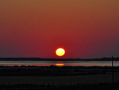 Immagine con tramonto, sole, rosso, mare, lago, controluce, riflesso, acqua, paesaggio
