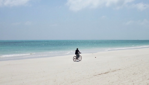 Immagine con bicicletta, mare, spiaggia, sabbia, cielo, acqua, ciclista