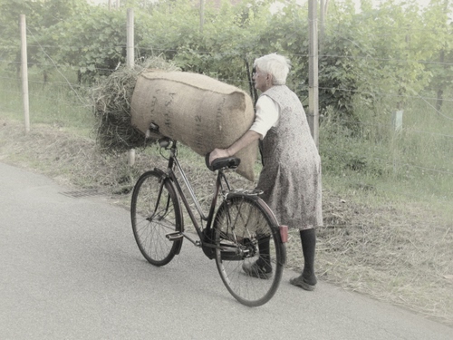Immagine con sacco, bicicletta, donna, fieno, anziana, strada, vecchia