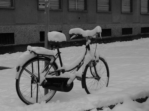 Immagine con neve, bicicletta, inverno, ruote, bianco, finestre, bici, palo, bianconero