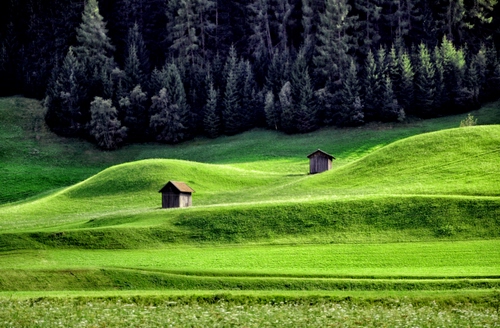 Immagine con verde, alberi, prato, erba, casette, montagna, case, prati, abeti, bosco