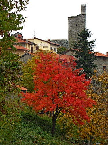 Immagine con torre, rosso, albero, autunno, case, alberi, verde, foglie