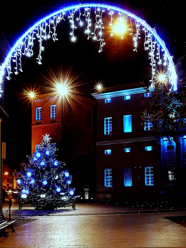 Immagine con albero, finestre, luci, arco, natale, notturno, notte, luminarie, addobbi, strada, sera, piazza
