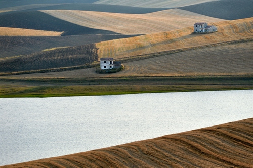 Immagine con campi, case, colline, prati, campagna, panorama, geometrie, coltivazioni, cascine, acqua, lago
