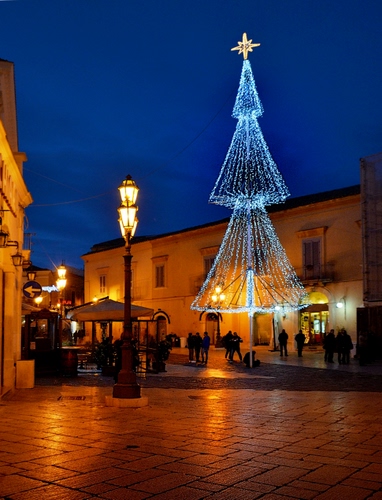 Immagine con natale, albero, lampione, luci, piazza, stella, blu, cielo