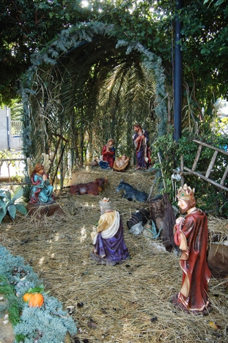 Immagine con presepe, magi, paglia, statue, re, verde, natività, statuine, natale, scala, giuseppe, madonna, asino, bue, capanna, bambino, presepio, maria, palme, rami, piante