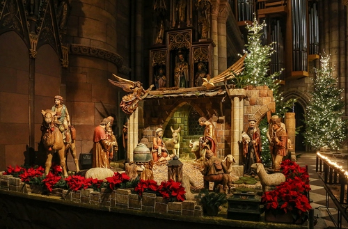 Immagine con presepe, fiori, capanna, statuine, angelo, pecore, madonna, stella, statue, rosso, chiesa