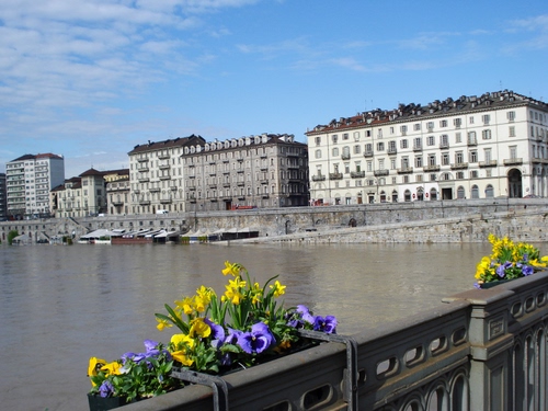 Immagine con fiori, fiume, giallo, ponte, palazzi, ringhiera, torino, acqua, piante