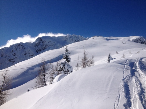 Immagine con neve, inverno, montagna, bianco, montagne, alberi, cielo, paesaggio, abeti