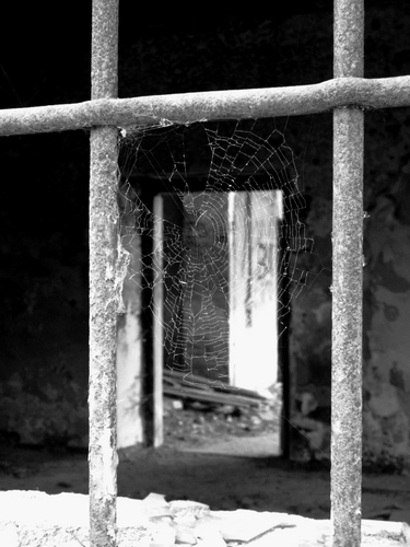 Immagine con ragnatela, porta, grata, finestra, bianconero, ferro, rudere, sbarre, luce, abbandono