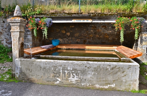 Immagine con acqua, lavatoio, fiori, fontana, legno, numeri, erba, verde, pietra, vasca, piante
