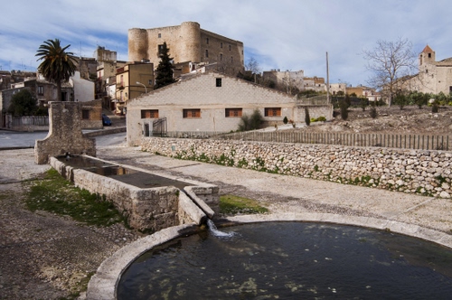 Immagine con acqua, lavatoio, castello, strada, erba, palma, vasca, finestre, fontana, case, torri