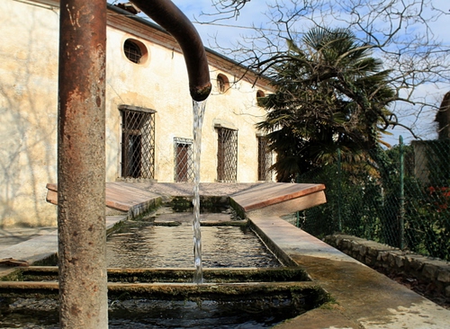 Immagine con acqua, lavatoio, alberi, casa, fontana, cannella, grate, finestre, getto