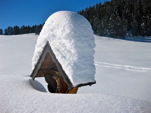 Immagine con neve, crocifisso, bianco, alberi, inverno, azzurro, cielo, bosco, legno, verde, abeti, croce, freddo, montagna, edicola