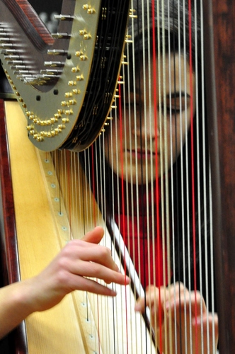 Immagine con arpa, corde, donna, mani, musicista, musica, suonare, arpista