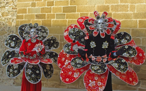 Immagine con nero, rosso, maschere, fiori, petali, carnevale, muro, costumi, argento, due, coppia, grigio, giallo, mattoni, fiore, corolle