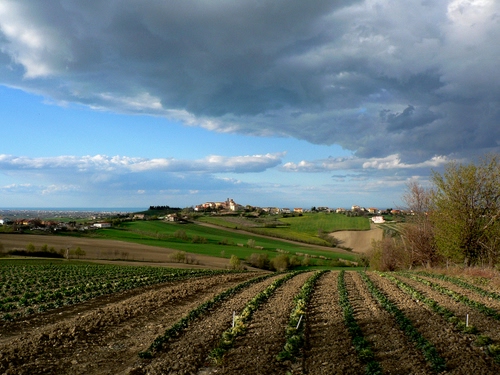 Immagine con nuvole, panorama, cielo, colline, campi, campo, coltivazione, campagna, paese, paesaggio, alberi