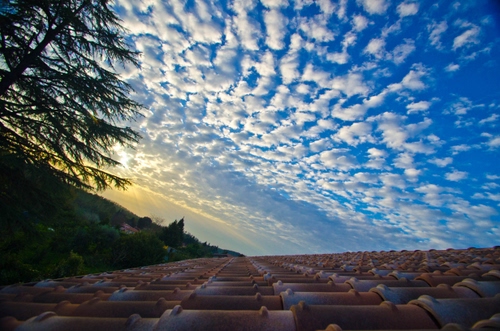 Immagine con nuvole, cielo, tetto, tegole, verde, bianco, azzurro, albero, alberi, tramonto, alba, rosso, coppi, case, sole, pecorelle, rami