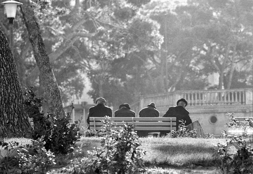 Immagine con panchina, anziani, alberi, bianconero, piante, parco, balaustra, lampione, quattro, persone, tronchi, giardino, uomini, erba, prato, cappelli, sfocato
