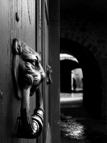 Immagine con bianconero, portone, porta, batacchio, leone, arco, vicolo, ombra, archi, battente, battiporta, silhouette, legno, riflesso