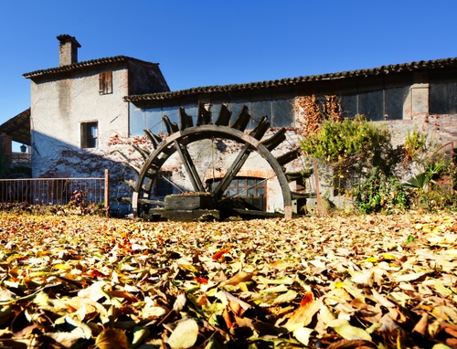 Immagine con ruota, mulino, foglie, autunno, finestre, comignolo, pale, tappeto, cielo, rampicante, verde, tetto, raggi, campagna, ringhiera, edificio, casolare