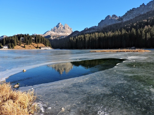 Immagine con lago, alberi, riflesso, ghiaccio, montagna, acqua, cielo, bosco, verde, inverno, riflessi, montagne, azzurro, cime, vette, dolomiti