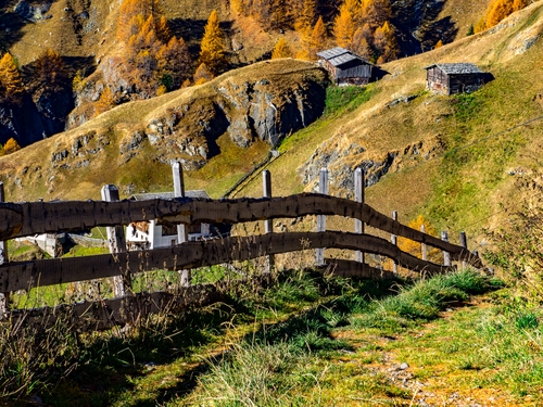 Immagine con staccionata, legno, alberi, verde, autunno, montagna, erba, baite, case, rocce, giallo, casa, ombra