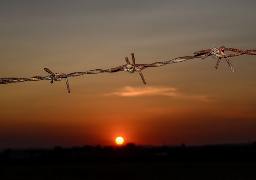 Immagine con tramonto, sole, filo, cielo, rosso, ruggine, spinato, ferro, nuvole, alba, orizzonte, nero, punte