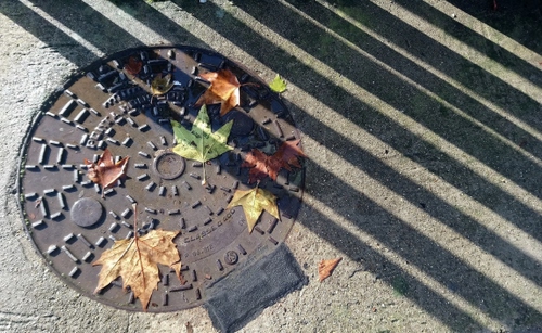Immagine con foglie, tombino, ferro, ombre, autunno, ombra, cerchio, strada, luci, chiusino, verde, linee, marrone, asfalto, scritte, strisce, diagonali, righe, metallo