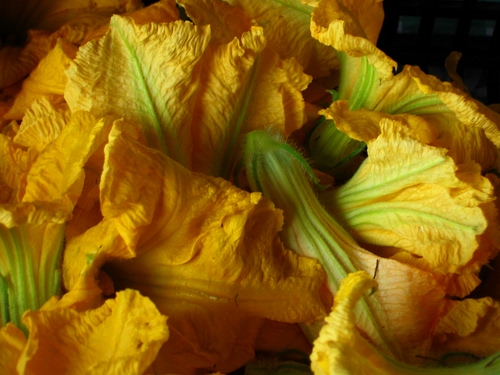 Immagine con fiori, verde, zucca, giallo, zucchine, ortaggi, verdura, macro, foglie, cibo, natura, petali