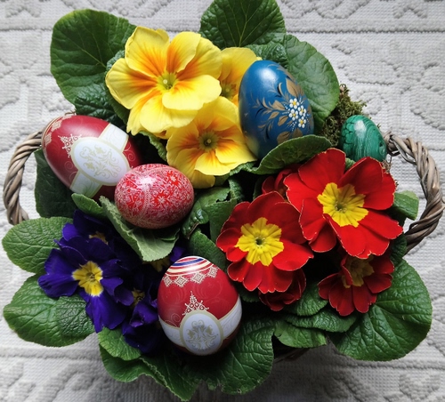 Immagine con fiori, uova, foglie, rosso, verde, giallo, viola, tovaglia, cesto, manici, pianta, bianco, colori, azzurro, cestino, blu, pasqua, primule, petali