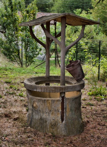 Immagine con alberi, pozzo, secchio, catena, verde, tettoia, legno, rete, recinzione, tetto, giardino, case