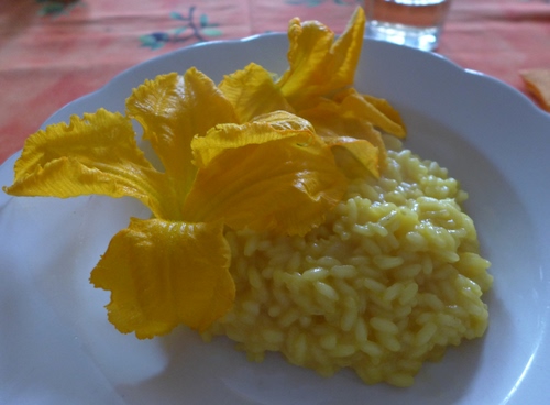 Immagine con riso, giallo, risotto, piatto, fiore, fiori, cibo, zucca