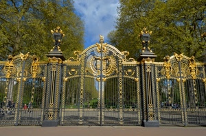 alberi, oro, cancello, parco, verde, nero, cielo, dorato