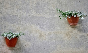 fiori, vasi, muro, bianco, due, piante, verde, bianchi, marrone, appesi, parete, rosso, foglie