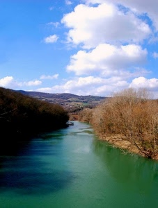 fiume, nuvole, alberi, acqua, cielo, verde
