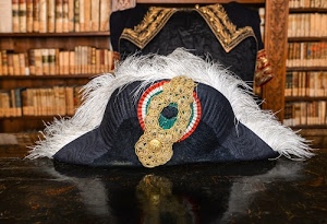 cappello, nero, coccarda, libreria, bianco, piume, libri, tavolo, tricolore, rosso, verde, fregio, riflesso, poltrona, blu, oro, feluca