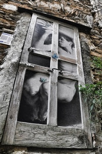 legno, porta, maniglia, finestra, erba, verde, muro, dipinto, murales, casa, chiavistello, maniglie, nudo, persona, catenaccio, vetri