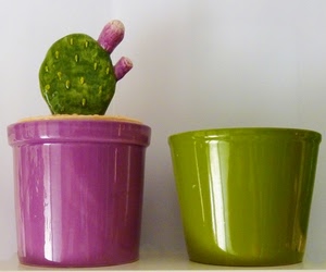 vasi, verde, pianta, viola, fucsia, lilla, grassa, due, vaso, ceramica, bicolore, cactus