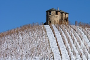 neve, collina, inverno, vigneto, filari, bianco, vigna, casa, castello, cielo