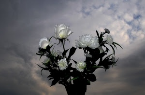 fiori, nuvole, bianco, rose, cielo, mazzo, foglie, bianche