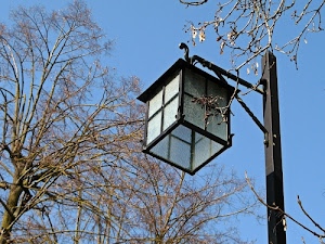 alberi, lampione, rami, palo, cielo, vetro, ferro, azzurro, metallo, lanterna, quadrati, inverno, lampada, autunno