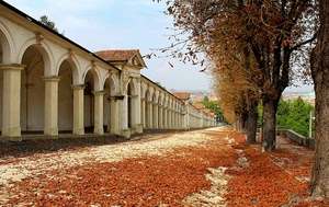 foglie, alberi, autunno, archi, prospettiva, colonne, portici, portico, arcate, pilastri, secche, cielo, tegole, tetti, azzurro, rami, viale, tronchi