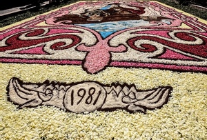 data, infiorata, petali, colori, numeri, fiori, bianco, disegno, rosa, numero