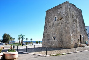 torre, mare, alberi, palme, cielo, finestre, giardini, vaso