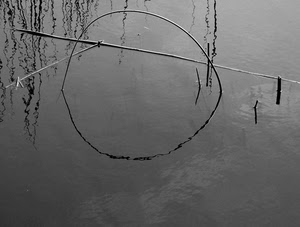 acqua, bianconero, riflessi, riflesso, cerchio, arco, lago, grigio, canne, rami