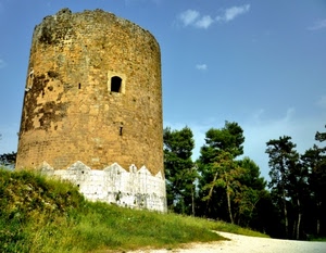 torre, alberi, finestra, cielo, erba, verde, strada